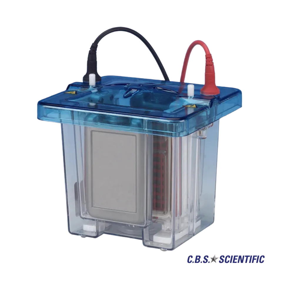 Cámara de Electroforesis Vertical Multipropósito DCX-700 1 Cámara de electroforesis vertical DCX-700 CBS Scientific